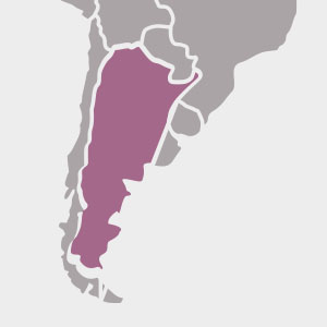 Vinos de Argentina