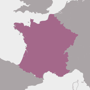 Vinos de Francia
